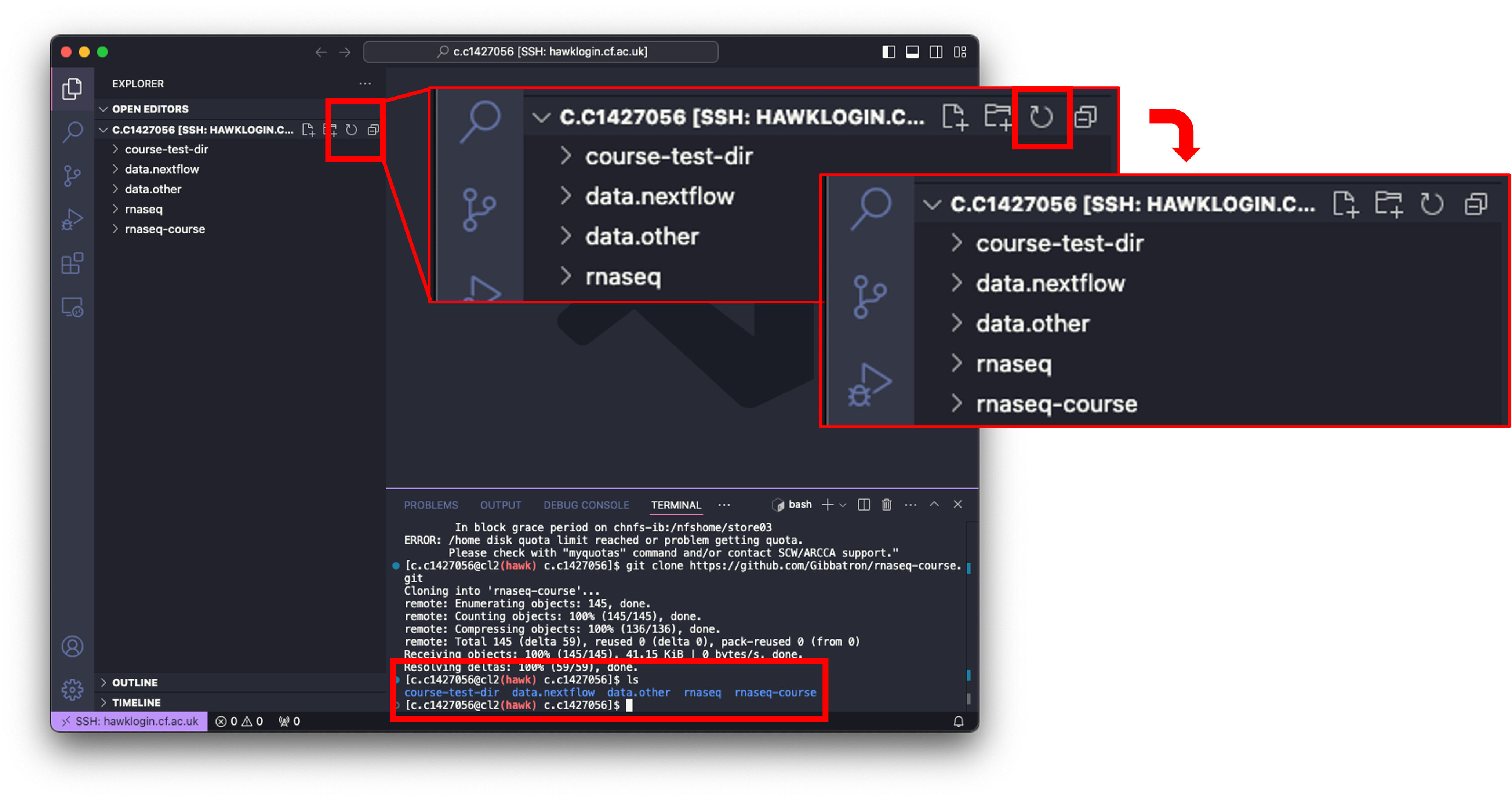 Pulling the project from GitHub