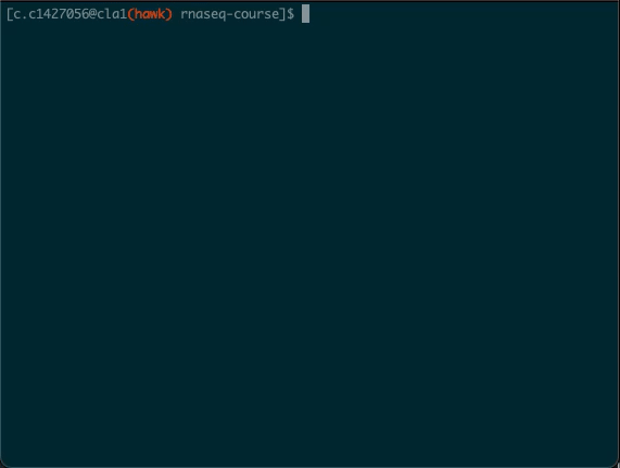 Opening a tmux session