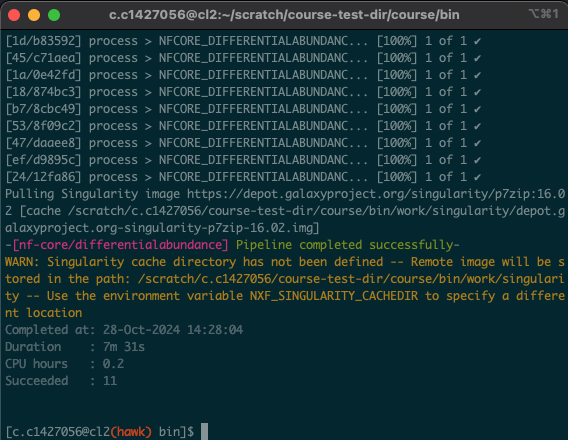tmux completed run