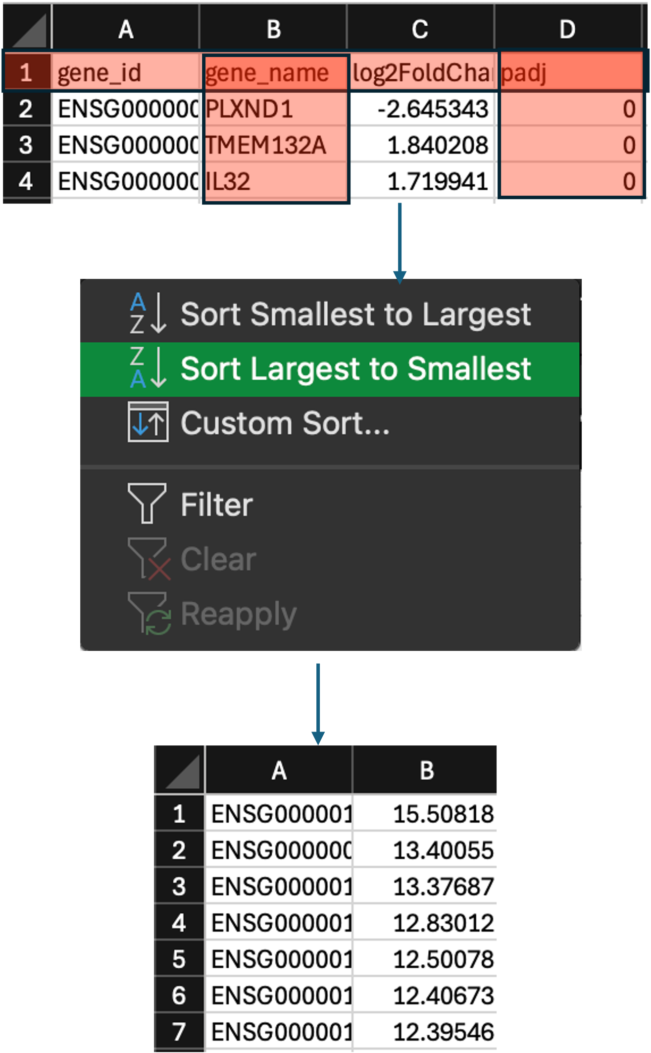 formatting GSEA file