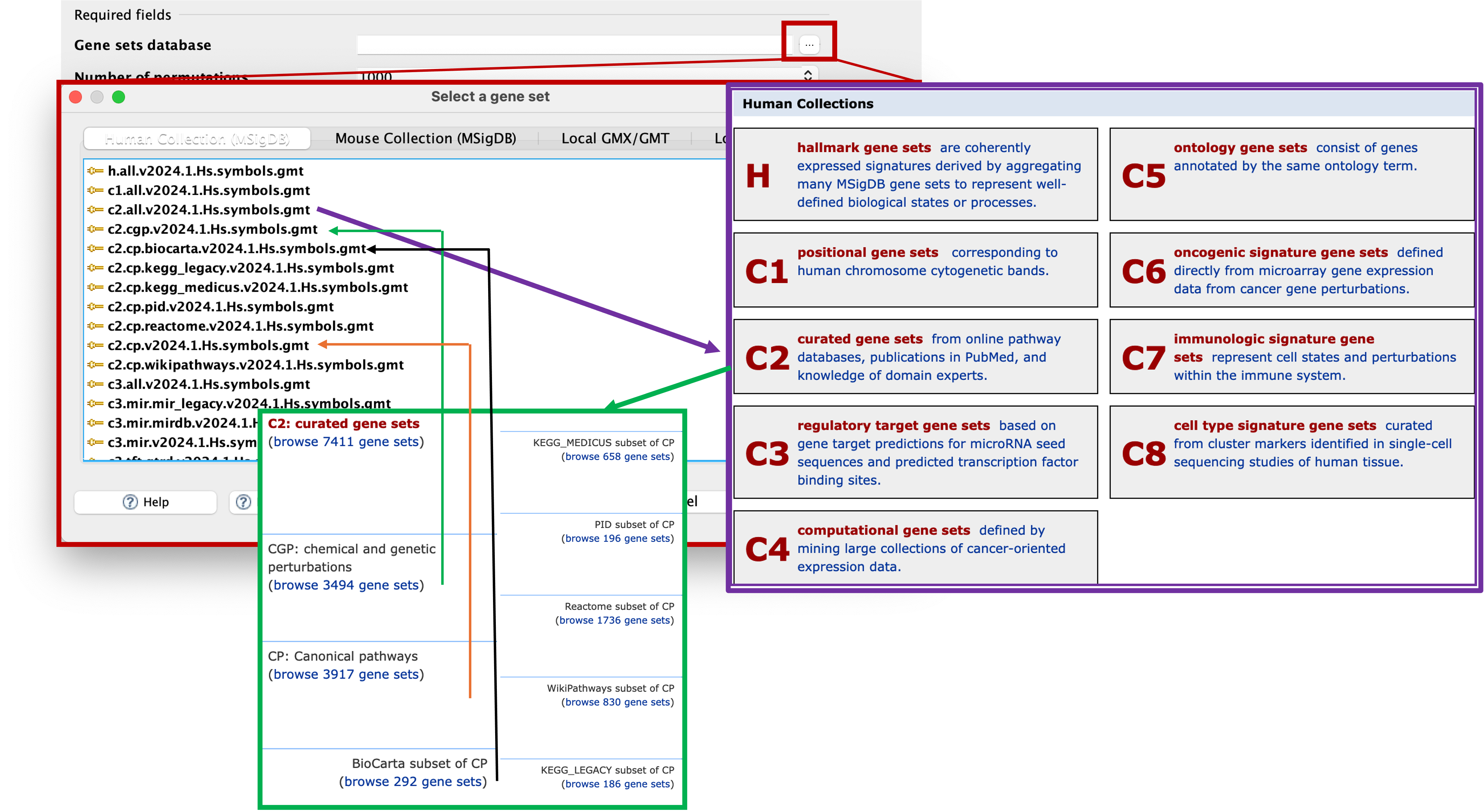 Selecting Gene sets database