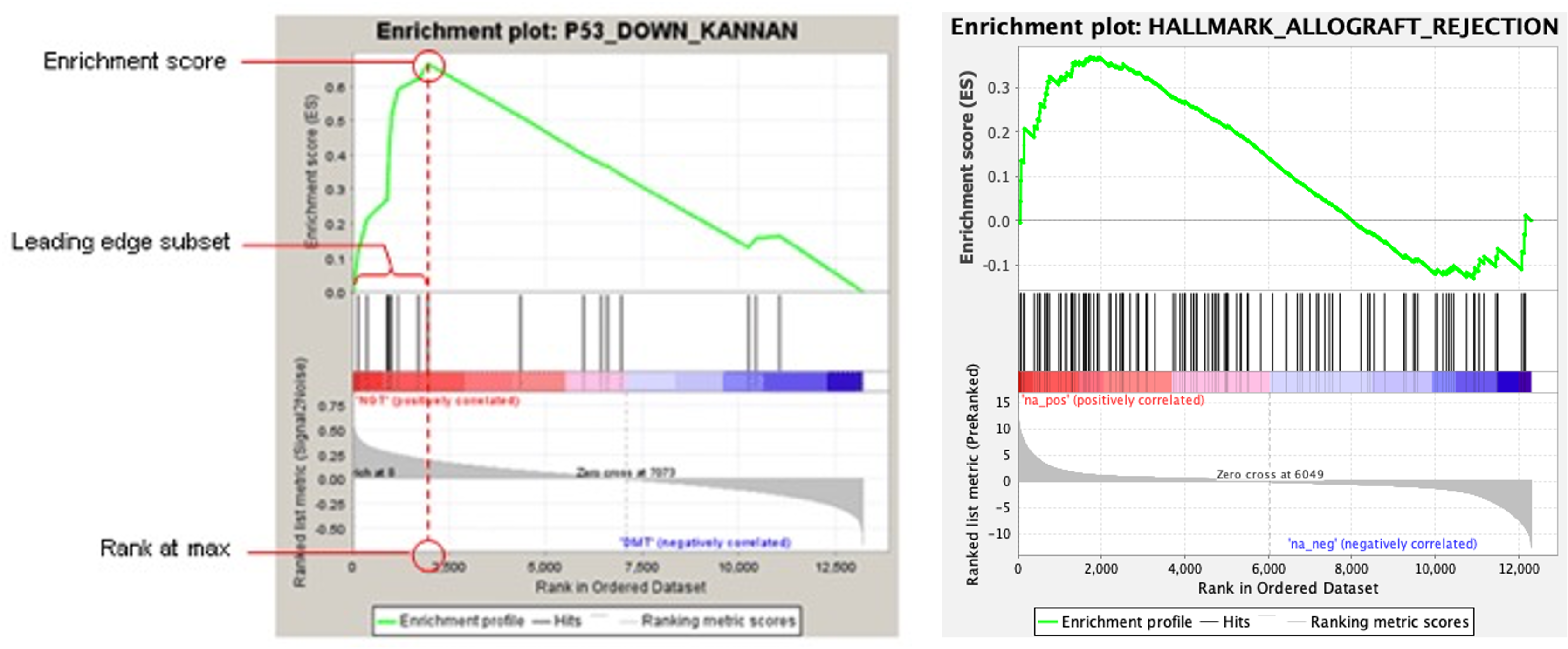 Enplot