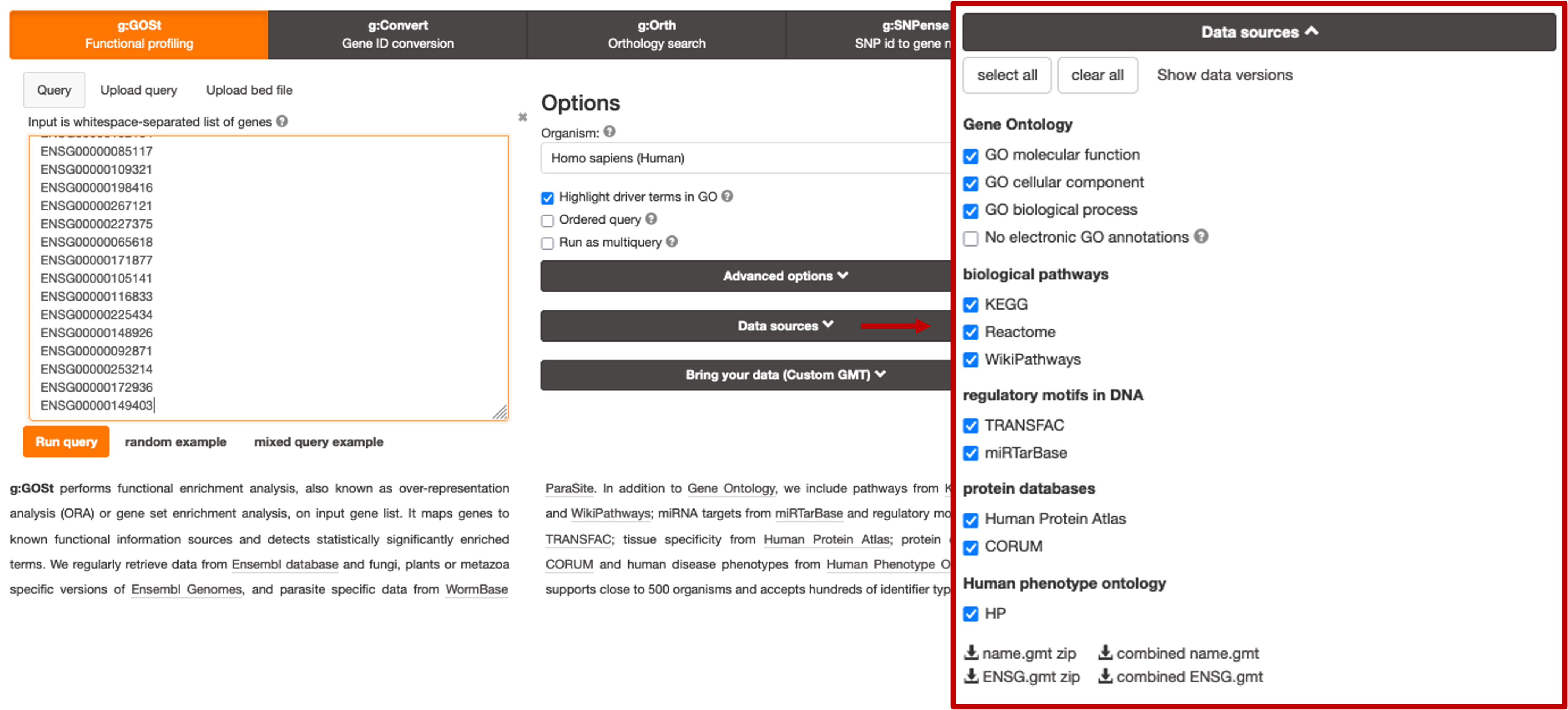 g:Profiler options